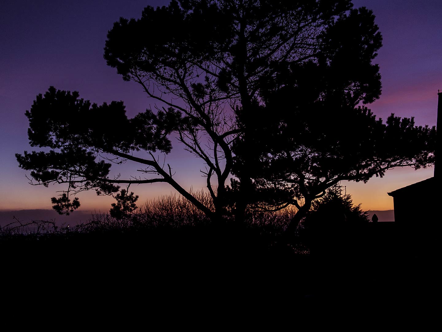 Seaside at Sunset